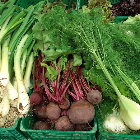 La Ojinegra Casa di campagna