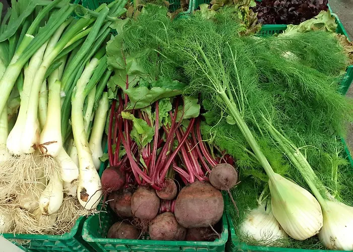 La Ojinegra Country house